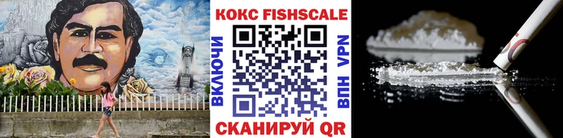 МЕГА как зайти  где продают   Александровск-Сахалинский  COCAIN FishScale 