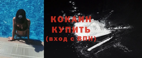 соль ск Абаза