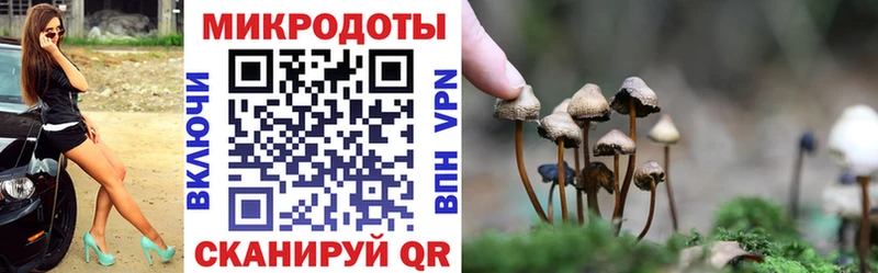 наркота Александровск-Сахалинский Галлюциногенные грибы Cubensis